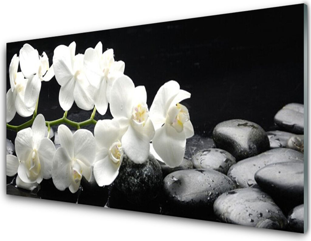 Acrylglasbilder 100x50 Wandbild Druck Blumen Steine Pflanzen