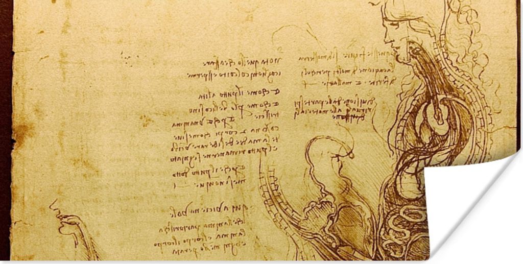 MuchoWow Poster Die menschliche Fortpflanzung - Leonardo da Vinci 80x40 cm - Wanddeko