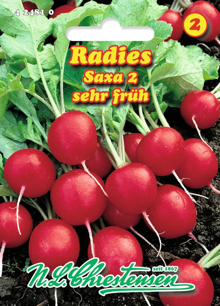 Radies Saxa 2 | Radieschensamen von N.L. Chrestensen