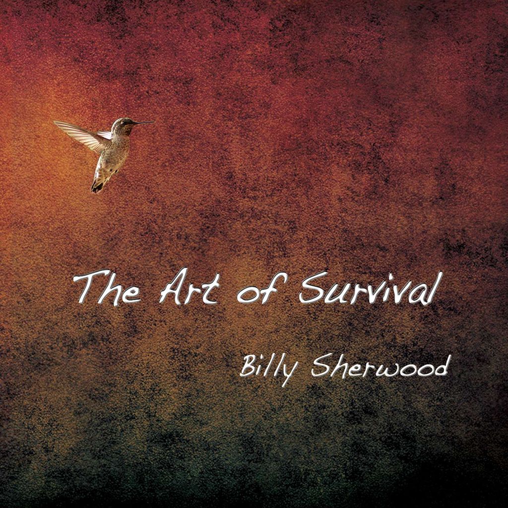 Cherry Red Records The Art Of Survival, Rock, Billy Sherwood, Physische Medien, Erwachsener