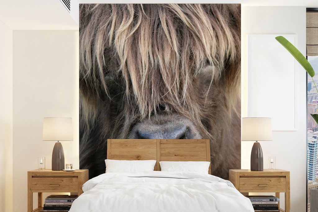 MuchoWow Fototapete für Wohnzimmer oder Schlafzimmer Wandtapete Vinyl Motivtapete Schottischer Highlander - Braun - Nase - 165x220 cm - Wanddeko...