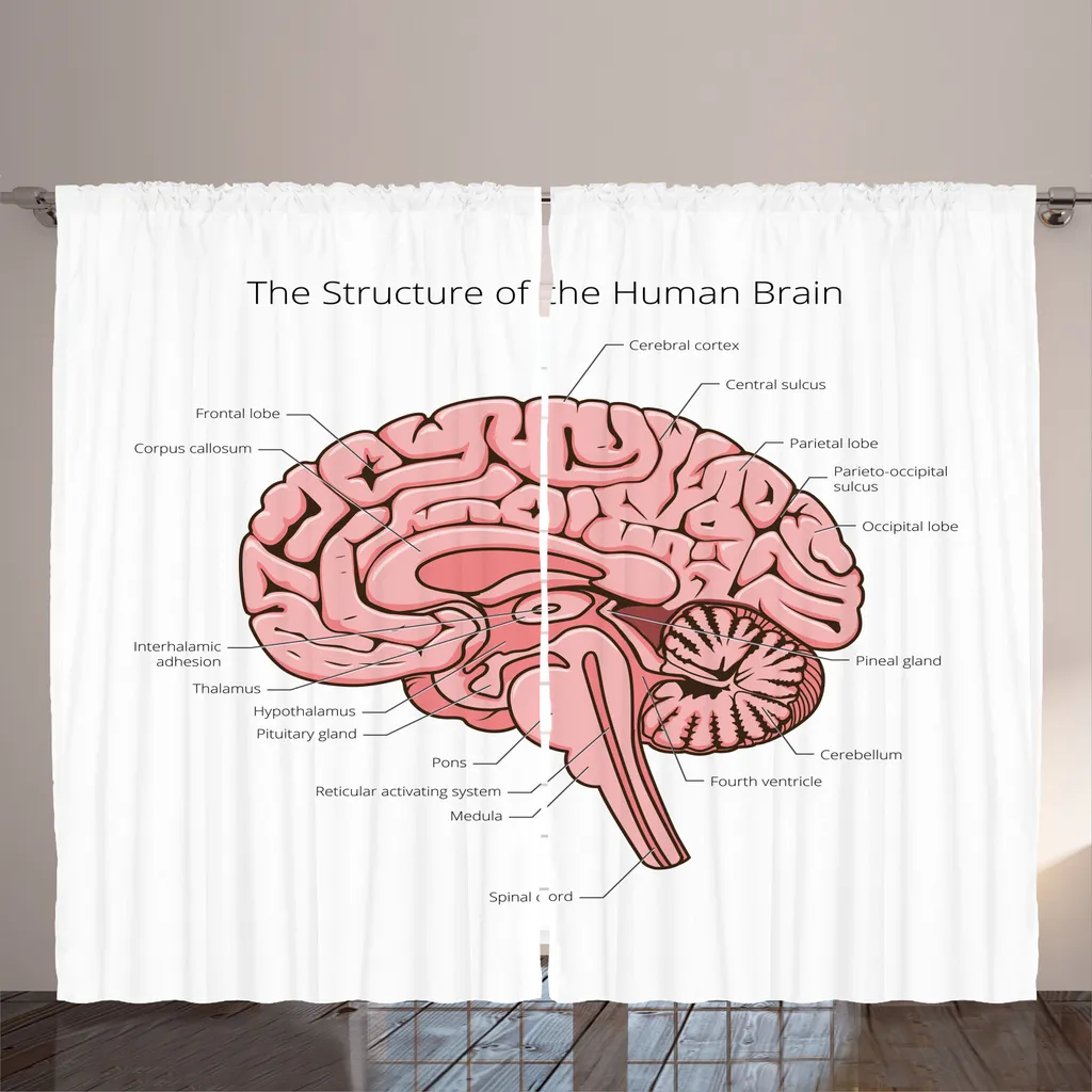 Décoration Murale Rideau Anatomie Cerveau Humain pour Salon 280x225cm