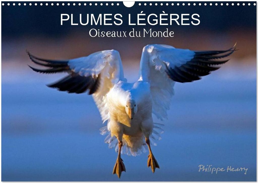 PLUMES LÉGÈRES. Oiseaux du Monde (Calendrier mural 2026 DIN A3 vertical), CALVENDO calendrier mensuel