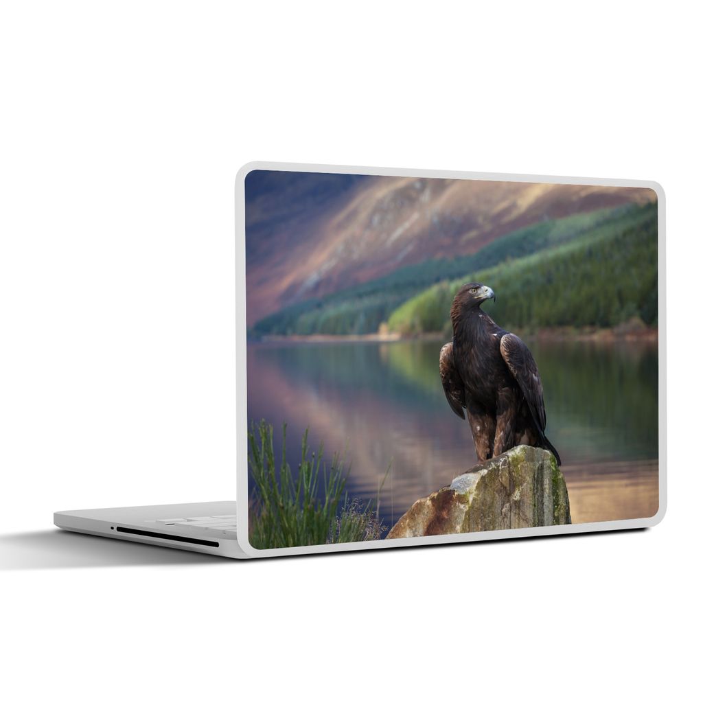 MuchoWow Laptop Aufkleber Sticker Cover Vogel - Steinadler - Schottland 36.5x27.5 cm - Laptop-Sticker