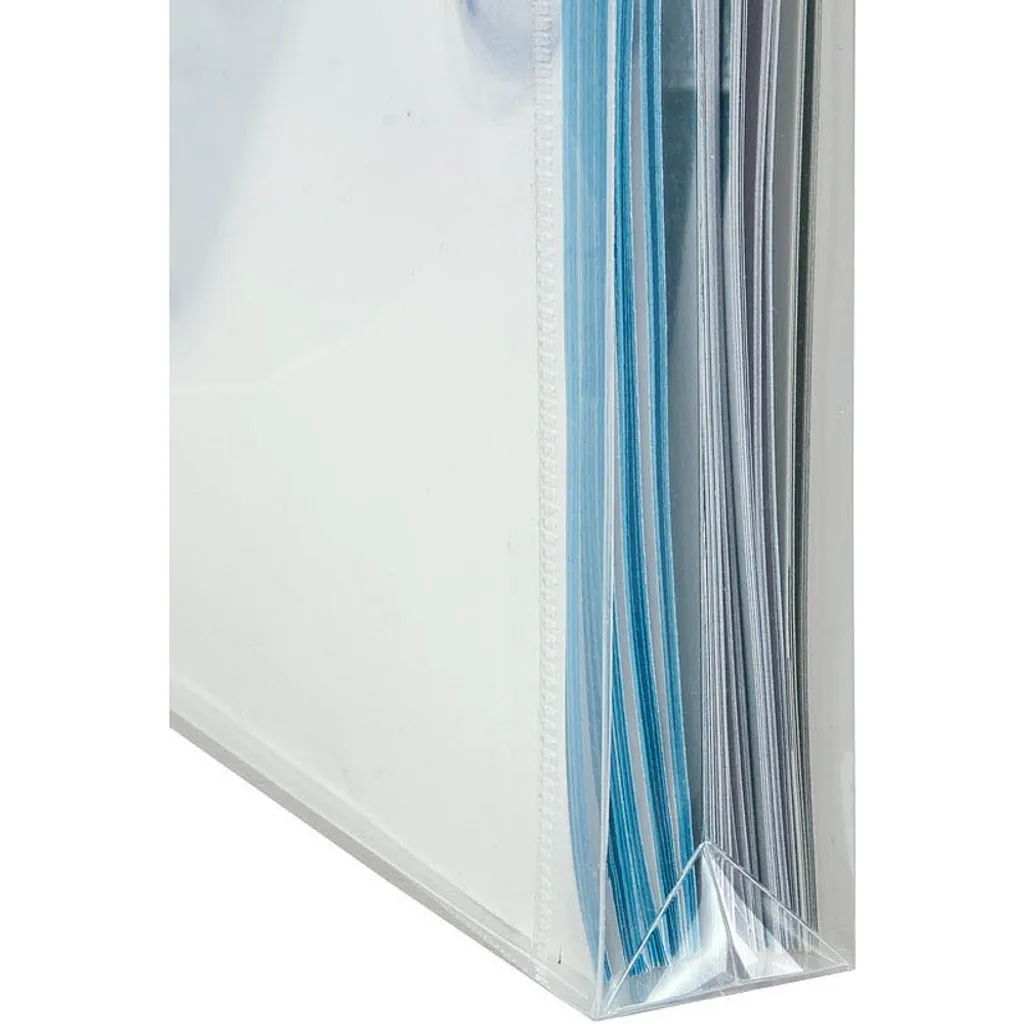 Protection de documents A4 EICHNER 9219-00190 lisses transparentes 10