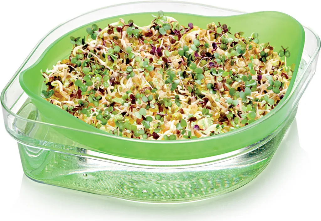 Tescoma SENSE Bol de germination avec graines pour pousses fraîches