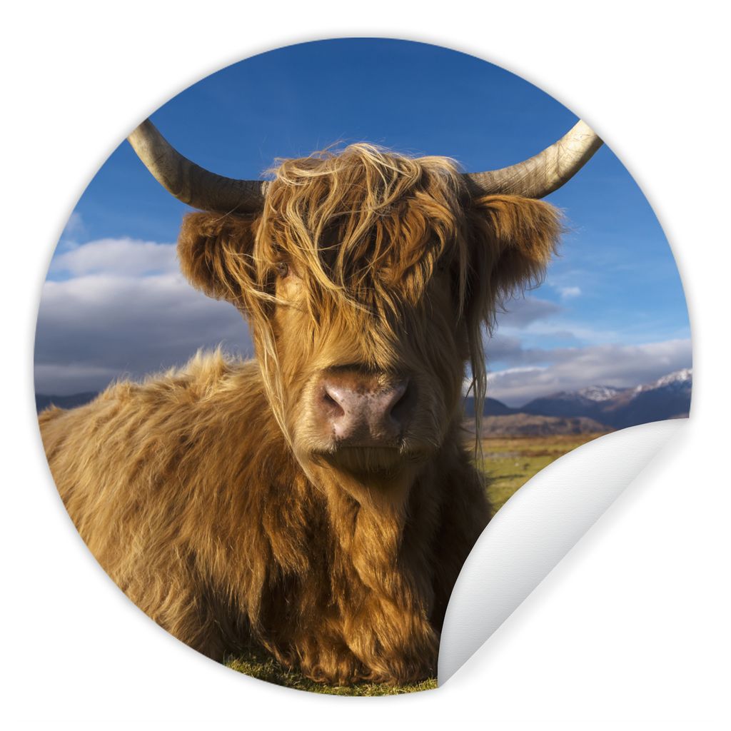 MuchoWow Runde Wandtattoo - Wandsticker Tapete Aufkleber Schottische Highlander - Tiere - Gras Ø 50 cm Selbstklebend und Repositionierbar - Wand...