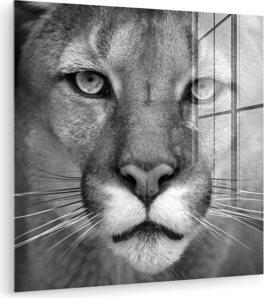MuchoWow Glasbilder - Bilder auf Wandbild - Foto auf Glas Panther - Wildlife - Schwarz - Weiß 50x50 cm Wanddekoration aus Glas - Acrylglasbild - A...