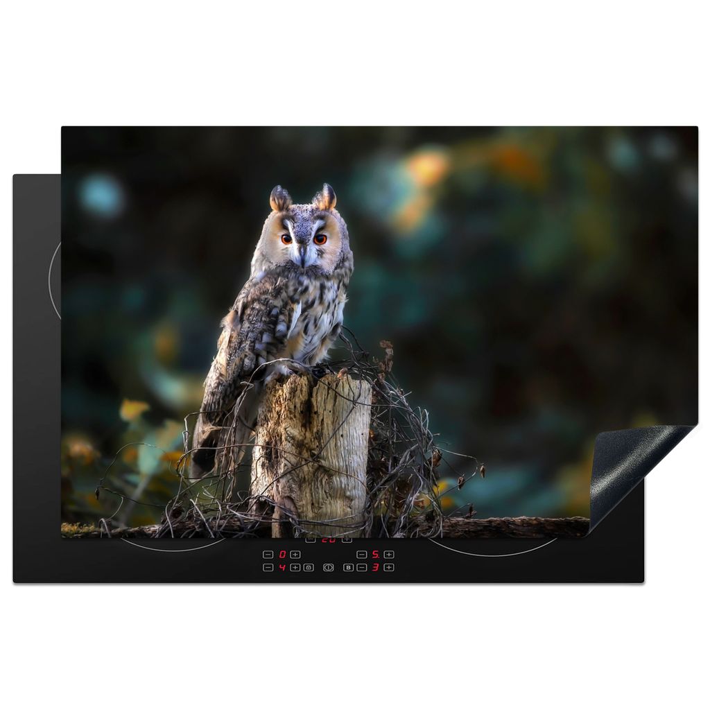 KitchenYeah Herdabdeckplatte Eule - Herbst - Vogel - Äste , 80x52cm, Küche Deko, Glaskeramikkochfeld Herdabdeckung, Abdeckplatte fùr Kochfeld