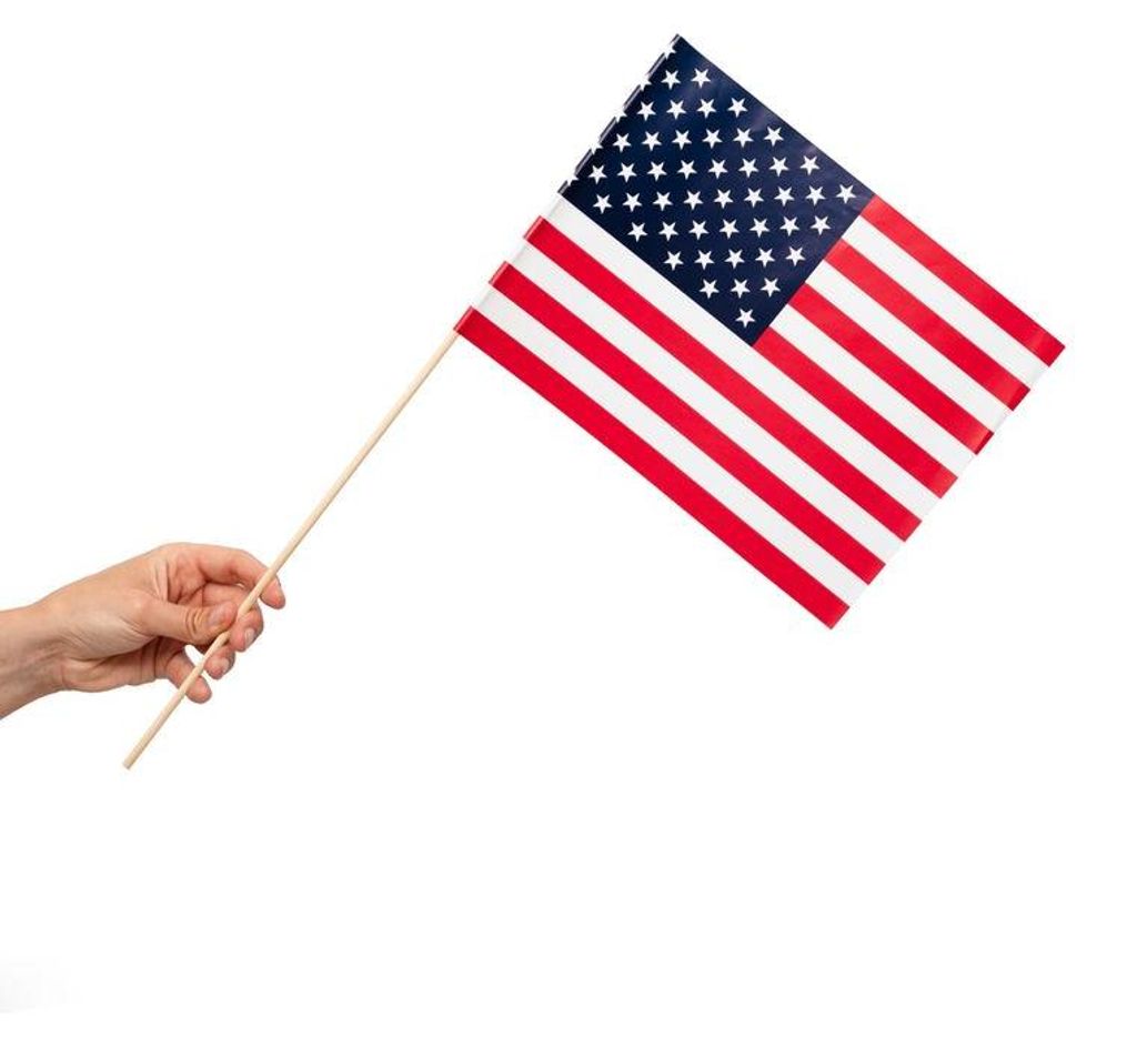 10 Papier Fahnen USA 20 x 30 cm Handfahnen Amerika Produktbild 