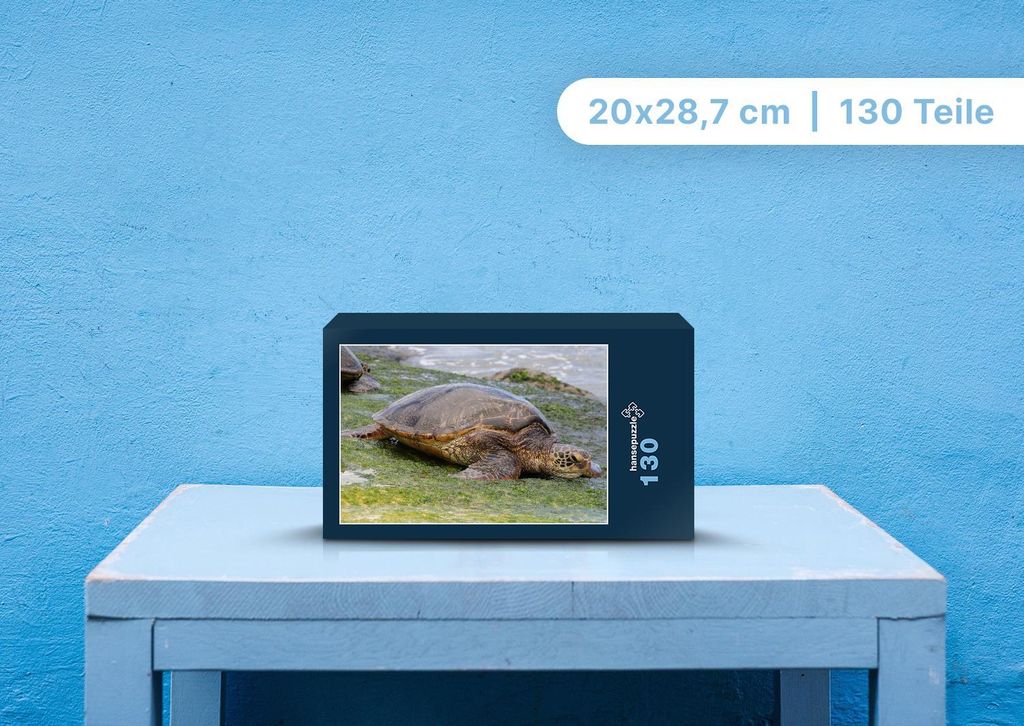 hansepuzzle 103527 - Wasserschildkröte Puzzle, 130 Teile, Tierwelt, 28,7 x 20,0cm mit hochwertiger Aufbewahrung, Kartonbox & Beutel