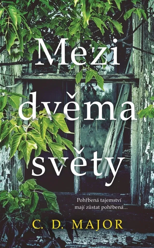 Mezi dvěma světy Major C. D. : Comprendre enfin les conflits passés