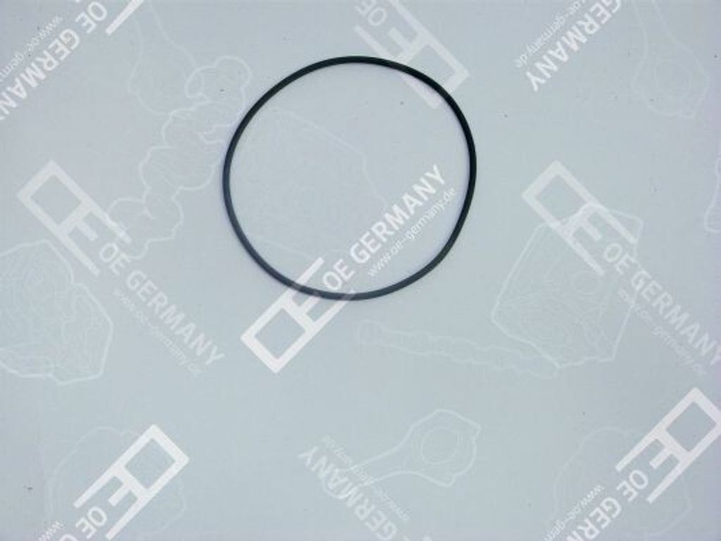 OE Germany Dichtring 04 0111 101300 für VOLVO 8700 3mm 112mm 4,8g