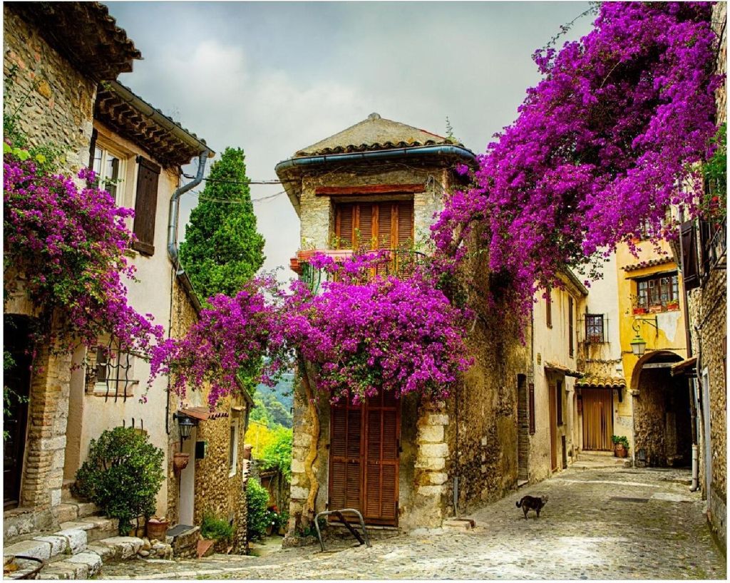 Wallario Poster - Malerische Stadt in der Provence mit Produktbild 