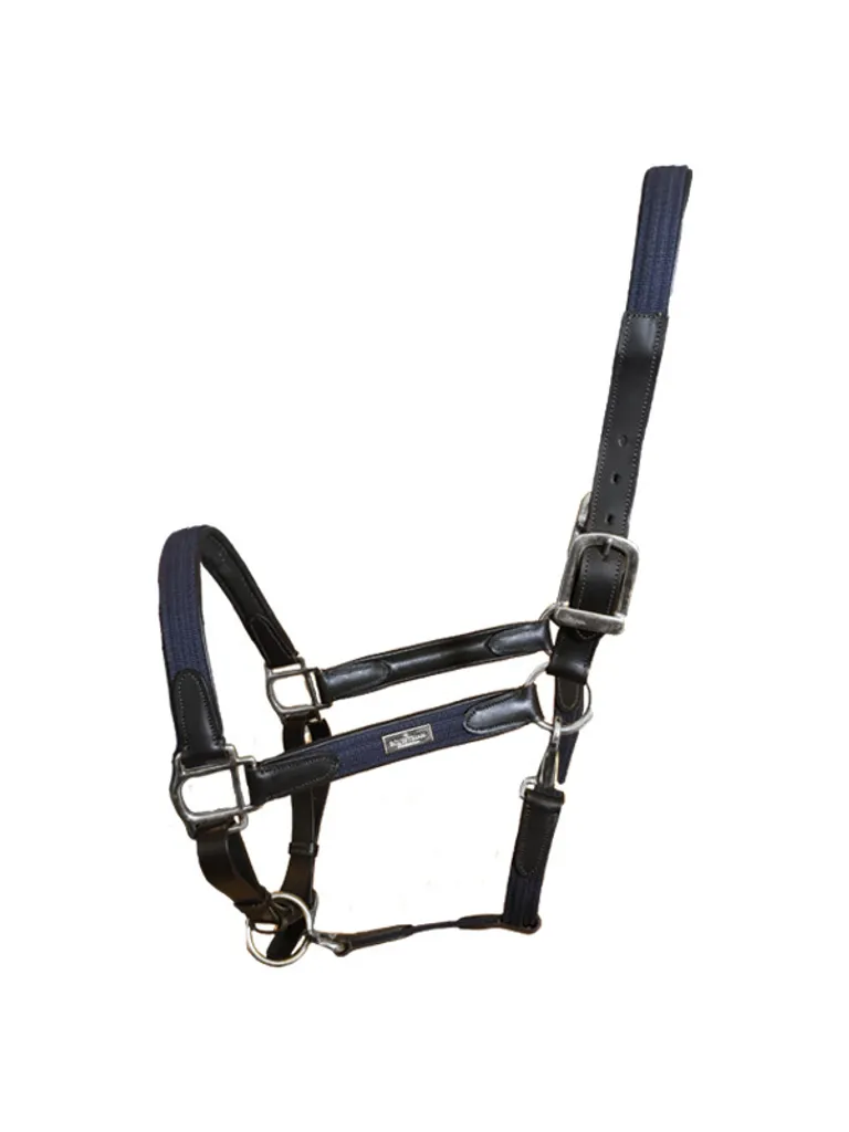 Ensemble licol et longe pour poney bleu marine Equestrian Stockholm