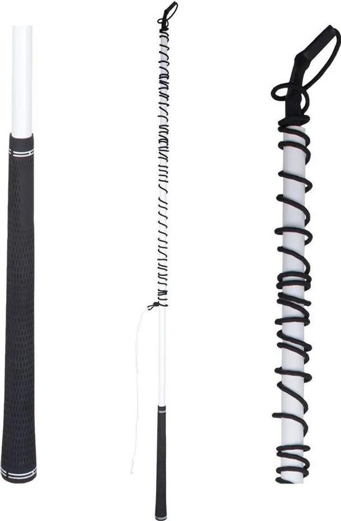 Waldhausen Telescope Vaulting Golf Reitgerte Silber 300 cm Silber 300 cm