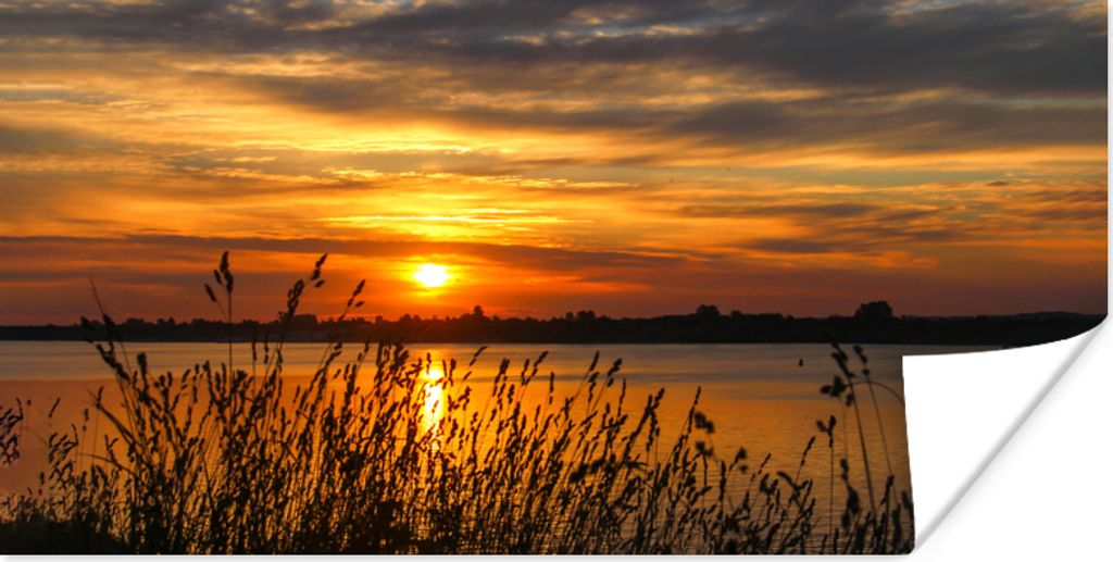 MuchoWow Poster Sonnenuntergang - Meer - Horizont - Himmel - Pflanzen 40x20 cm - Poster für die Wand - Poster Schlafzimmer