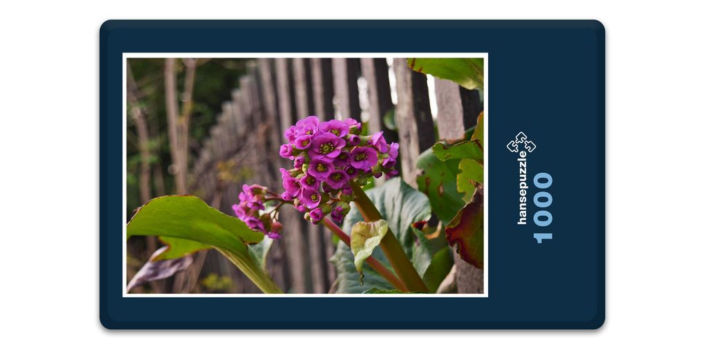 hansepuzzle 18367 - Lila Blume Puzzle, 1000 Teile, Natur, 60,0 x 46,0cm mit hochwertiger Aufbewahrung, Kartonbox und wiederverschließbarem Beutel