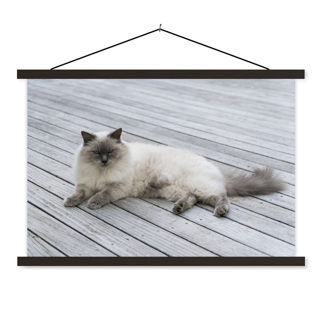 MuchoWow Textilposter Eine Ragdoll-Katze liegt auf dem Steg 90x60 cm mit schwarzem Rahmen - Aufhängungssatz