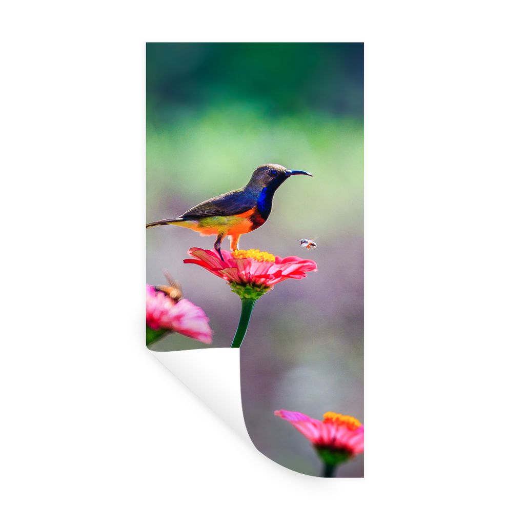 MuchoWow Wandtattoo Wandsticker Wandaufkleber Nahaufnahme eines Kolibris auf rosa Blüten 80x160 cm Selbstklebend und Repositionierbar - Sticker ...