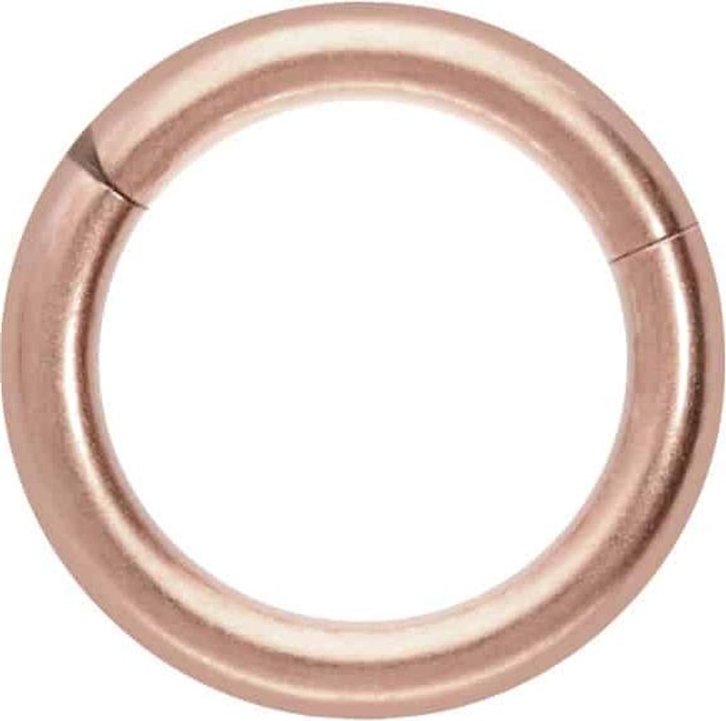 Ohrpiercing, Nasenpiercing, Septum Piercing Titan Segmentring Clicker MATT RoséGold Innendurchmesser: 7mm + Stabstärke: 1,6mm