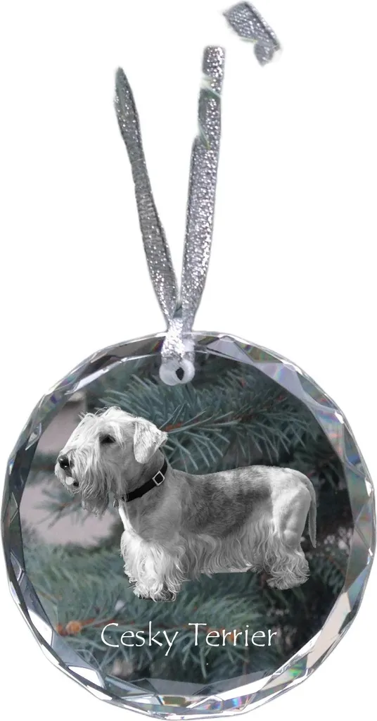 Cristallo con Foto Terrier Ceco | Esclusiva Decorazione Art-Dog Personalizzata