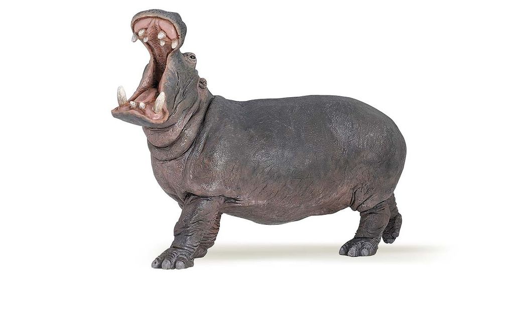 Papo Nilpferd, 3 Jahr(e), Wild animal, Grau, PVC Produktbild 