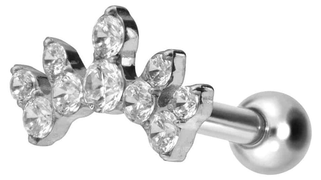 Ohrpiercing Titan Ohrpiercing mit Innengewinde KRISTALLBOGEN Silber Stablänge: 8mm