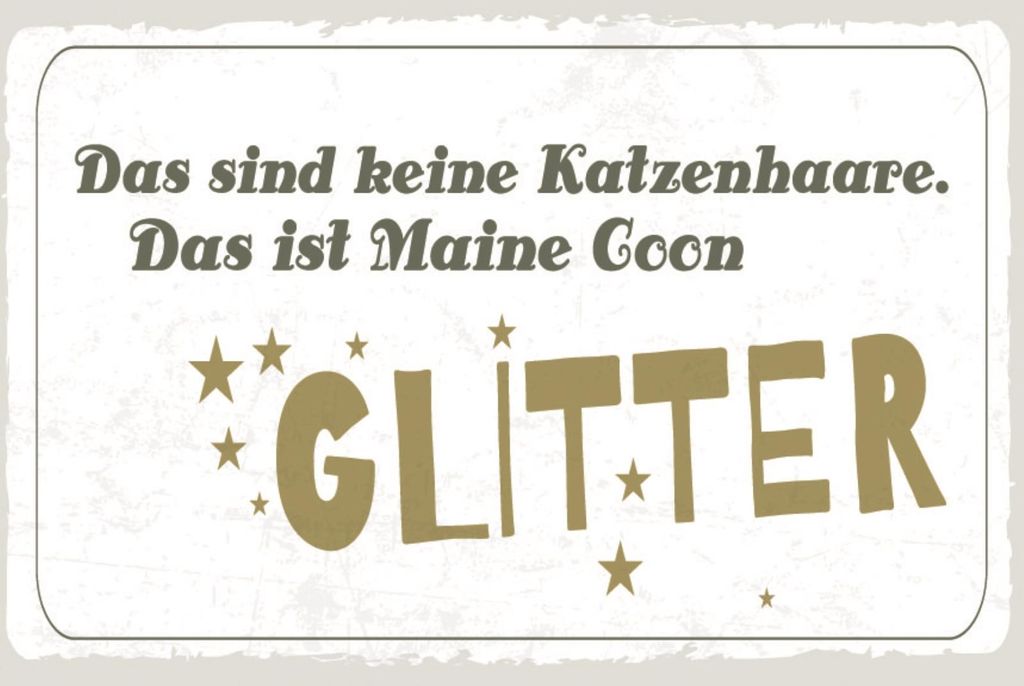 vianmo Blechschild 20x30 cm Maine Coon Glitter