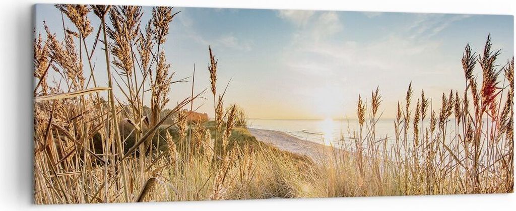 Bild auf Leinwand - Leinwandbild - Einteilig - Ähren Küste Sonne - 140x50cm - Wand Bild - Wanddeko - Wandbilder - Leinwanddruck - Bilder - Wandde...