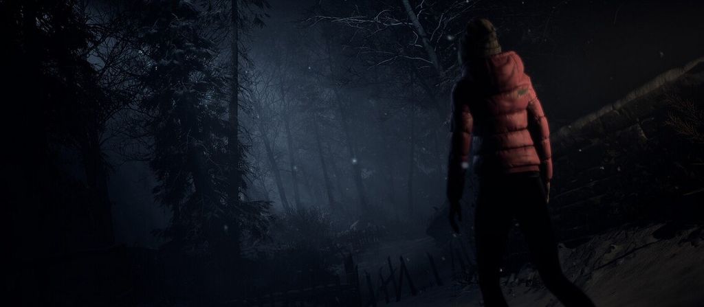 Sony Until Dawn, PS4, PlayStation 4, M (Reif)