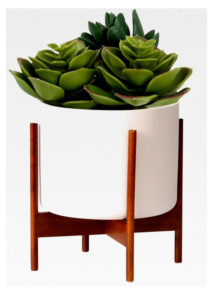 Fox&Fern Pflanzenständer WIDE - Blumenhocker mit Keramikübertopf - Blumenständer aus nachhaltigem Akazienholz - geeignet als Tischdekoration - w...
