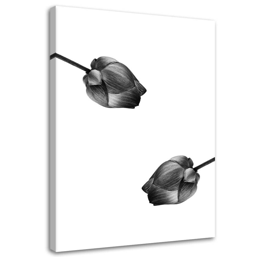 Leinwandbild zwei graue blumen 40x60 cm Feeby grau wandbild bereit zum aufhängen