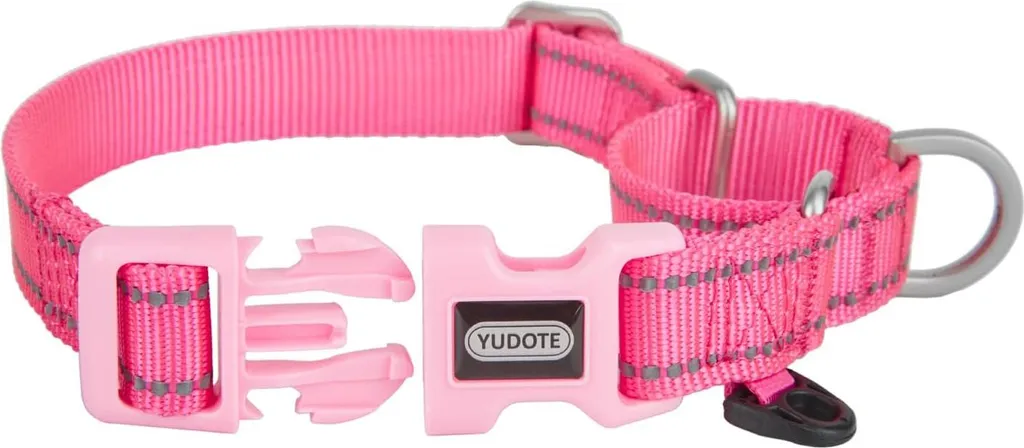 Collier Anti-Fugue pour Chien qui Tire - Système Martingale Réfléchissant