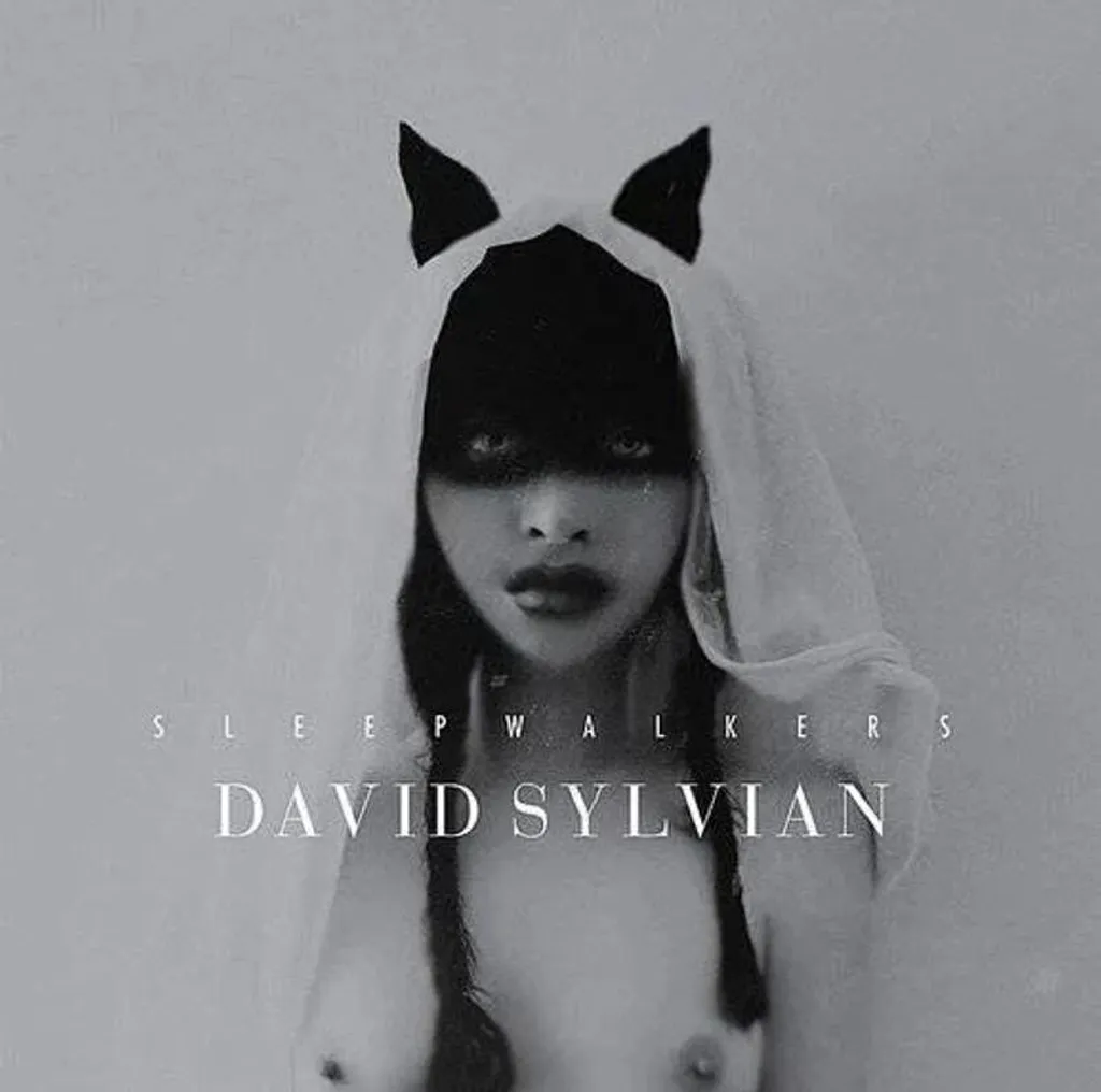 Disque Vinyle David Sylvian Sleepwalkers Édition Limitée Remastérisée