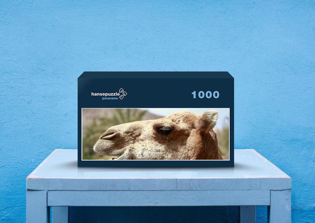 hansepuzzle 82456 - Kamel Puzzle, 1050 Teile, Tierwelt, 60,0 x 46,0cm mit hochwertiger Aufbewahrung, Kartonbox und wiederverschließbarem Beutel