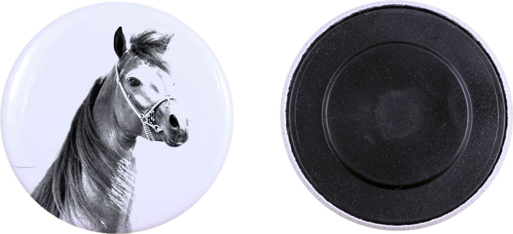 Arabisches Pferd - Magnet mit Pferd, ein einzigartiges Abdruck des Pferdes der Marke Art-Dog