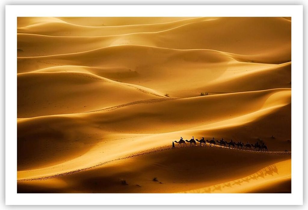 Poster - Poster ohne Rahmen - Afrika Sahara Kamel Landschaft - 91,5x61 cm - Wand Bild - Wanddeko - Wandbilder - Kunstposter - Wandposter - Bilder -...
