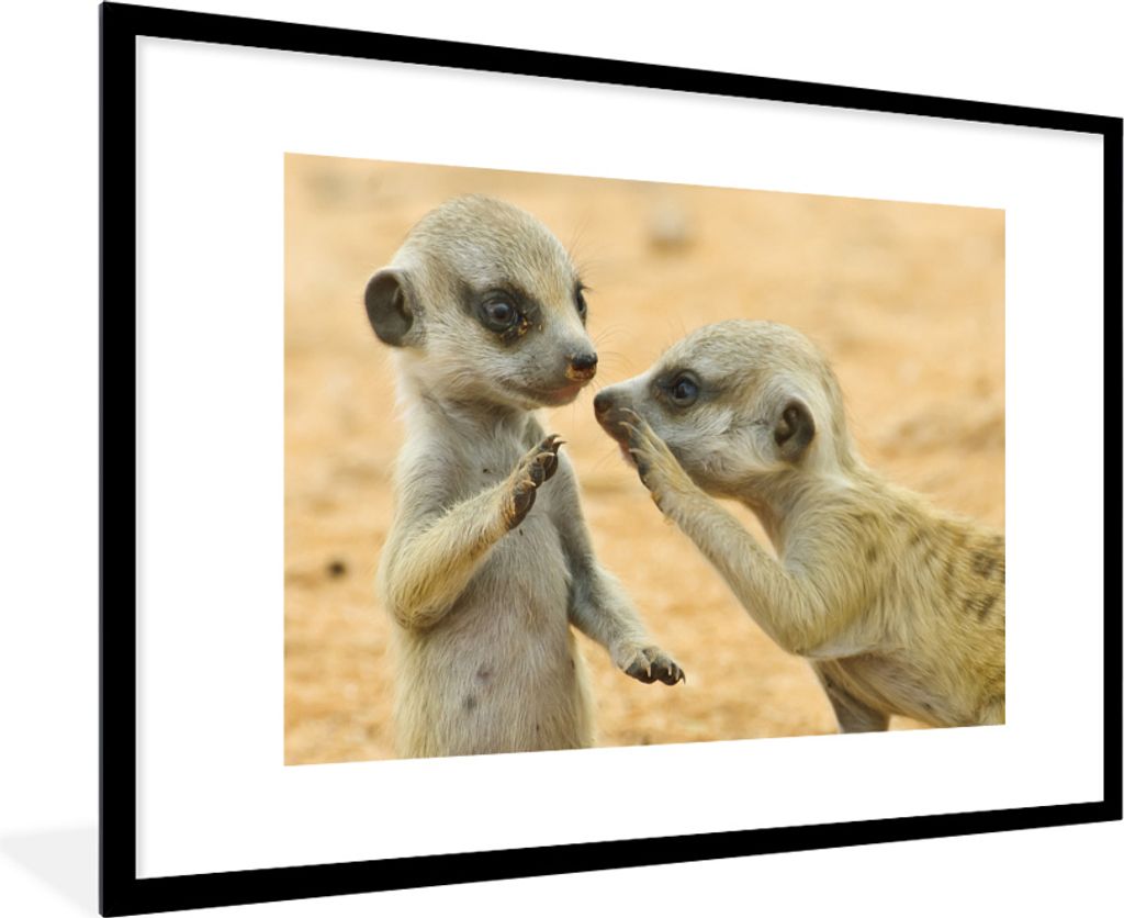 MuchoWow MuchoWow Gerahmtes Poster Erdmännchen - Braun - Tier 90x60 cm - Poster mit zchwarzem Bilderrahmen - Wanddekoration - Fotos