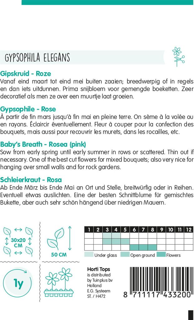 Schleierkraut Rosa | Blumensamen von Hortitops