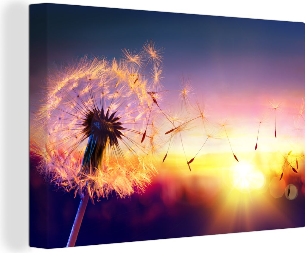 OneMillionCanvasses - Leinwandbilder - 140x90 cm, Löwenzahn - Blumen - Sonnenuntergang - Horizont - Nacht, Wandbilder Kunstdruck Wanddekoration ...