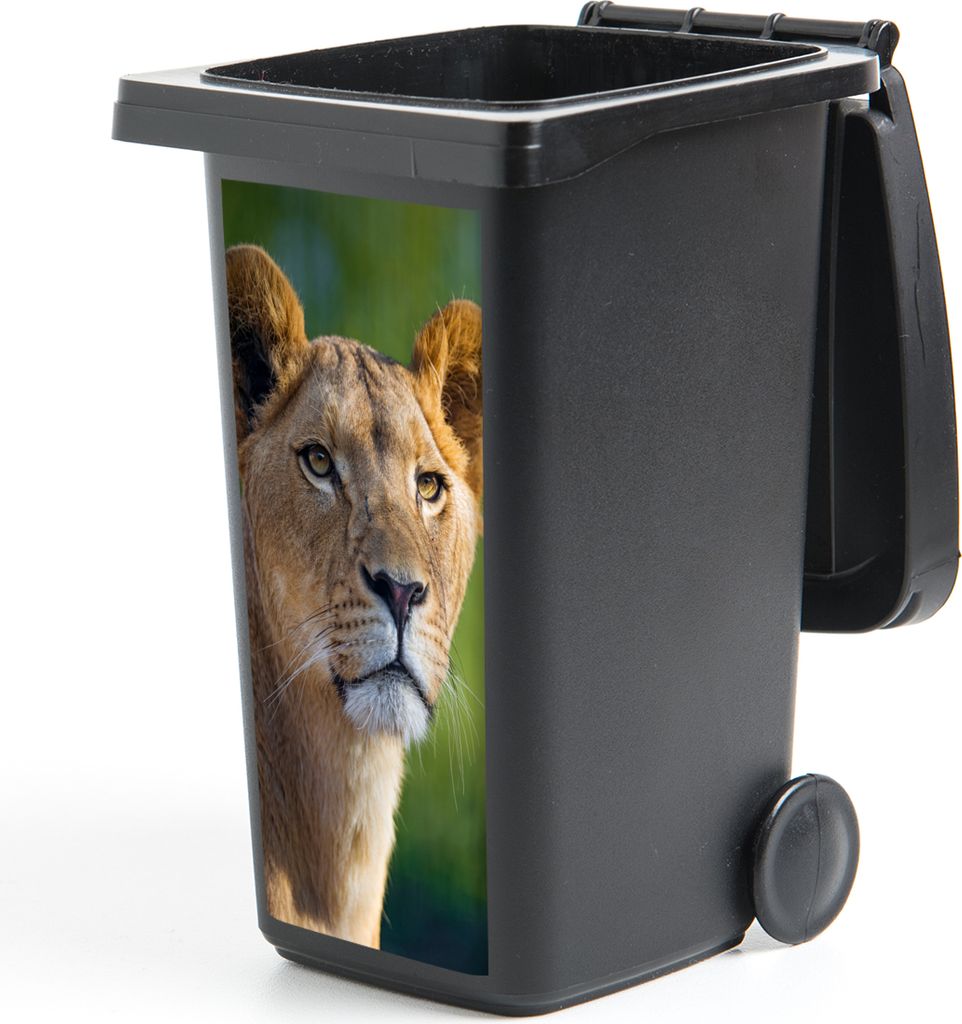 MuchoWow Mülltonnenaufkleber Porträt - Löwe - Wild 38x80 cm - Behälteraufkleber - Mülleimer-Aufkleber - Container-Aufkleber