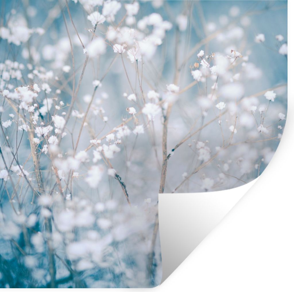 MuchoWow Wandtattoo Wandsticker Wandaufkleber Äste - Schnee - Winter - Natur - Botanisch 50x50 cm Selbstklebend und Repositionierbar - Selbstkle...