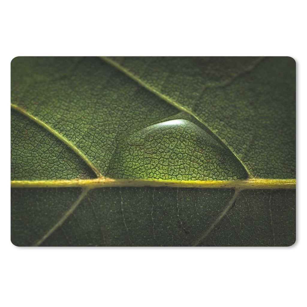 MuchoWow Schreibtischunterlage Foto eines Wassertropfens auf einem botanischen Blatt 60x40 cm - XXL Mauspad - Großes Mauspad