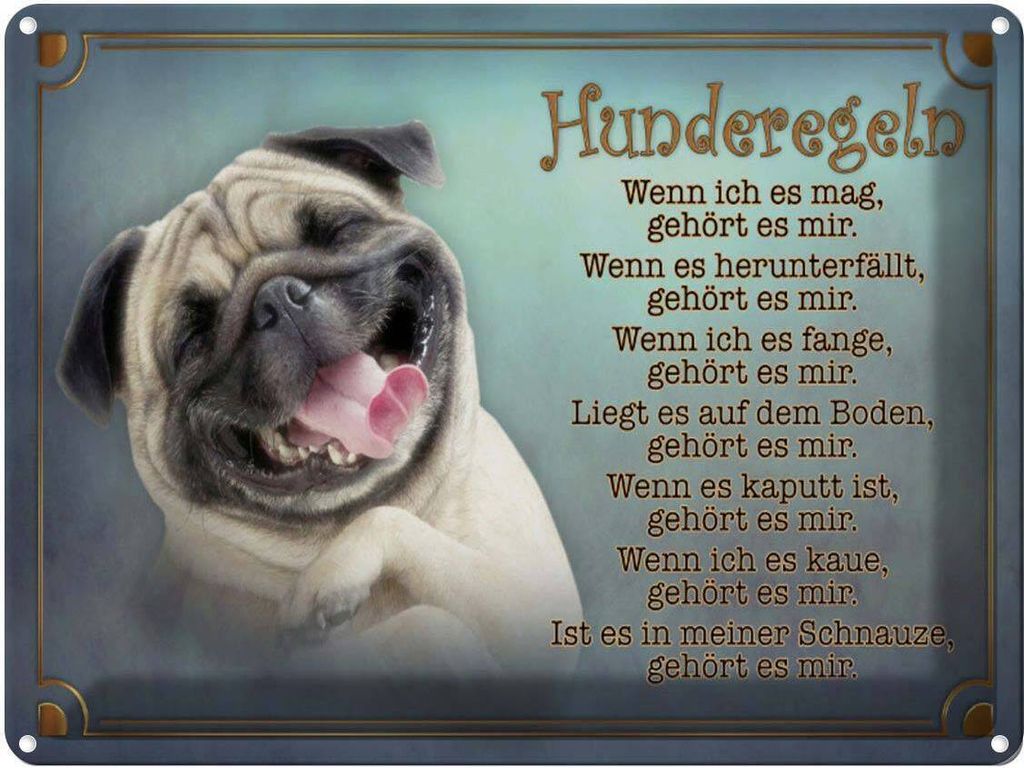 vianmo Blechschild 30x40 cm Hunderegeln wenn ich es mag Hund