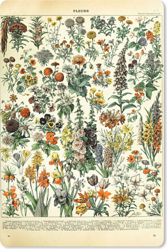 MuchoWow Mauspad Mousepad Blumen - Pflanzen - Vintage - Adolphe Millot - Kunst 18x27 cm - Mousepads - Maus Mat - Pad - Mausunterlage