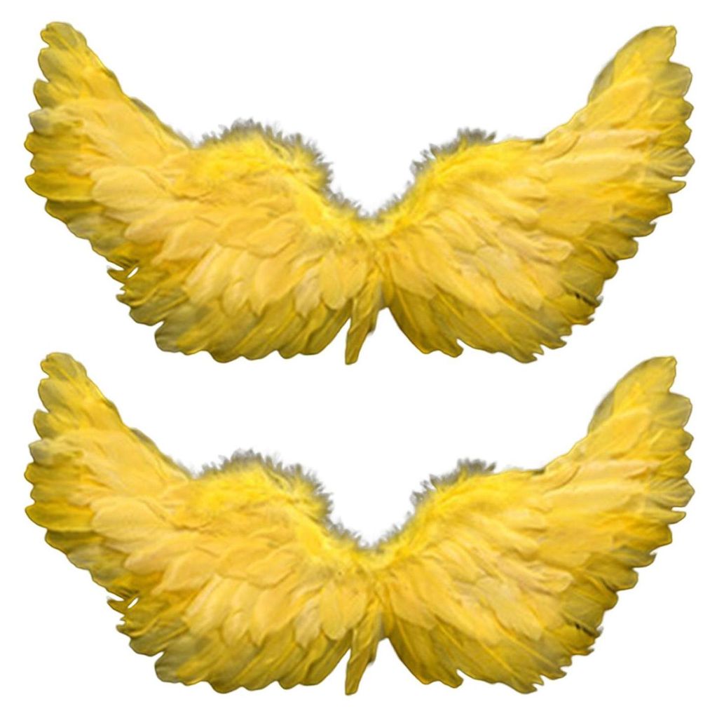 Two yellow feather wings are displayed against a white background.