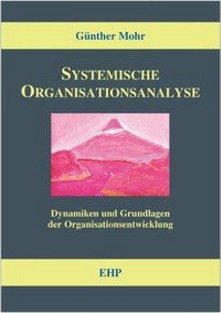 Systemische Organisationsanalyse