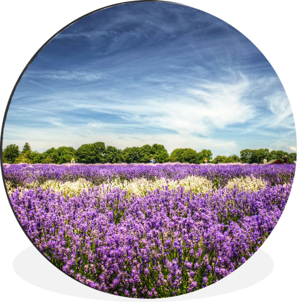 MuchoWow Aluminium Wandkreis Blauer Himmel über Lavendel in der Natur Ø 60 cm Wanddeko Modern Wohnzimmer - Wand Kreis - Wandbild - Schlafzimmer...