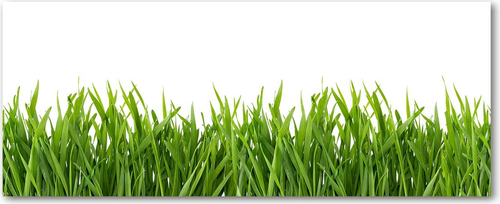 Tulup Glas-Bild Wandbild aus Glas - 125x50 - Wandkunst - Wandbild hinter gehärtetem Sicherheitsglas - Dekorative Wand für Küche & Wohnzimmer ...